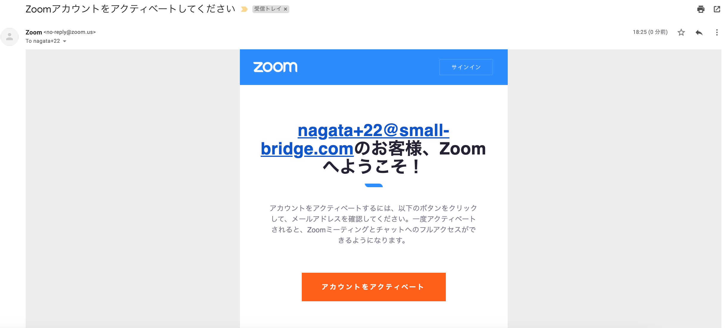 Zoom Confirmation Email