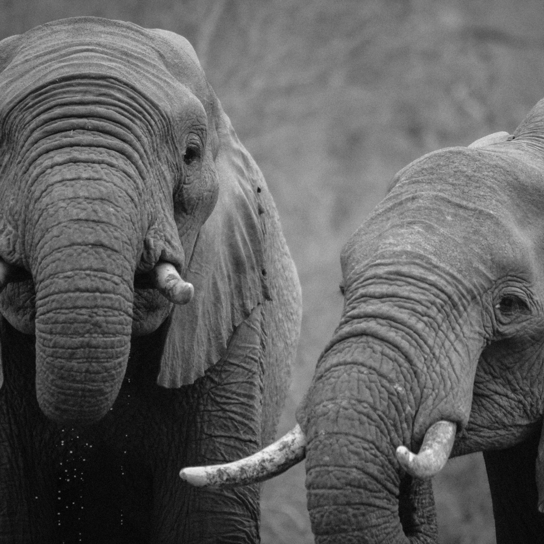 レッスンイメージ