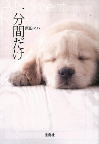 一分間だけ