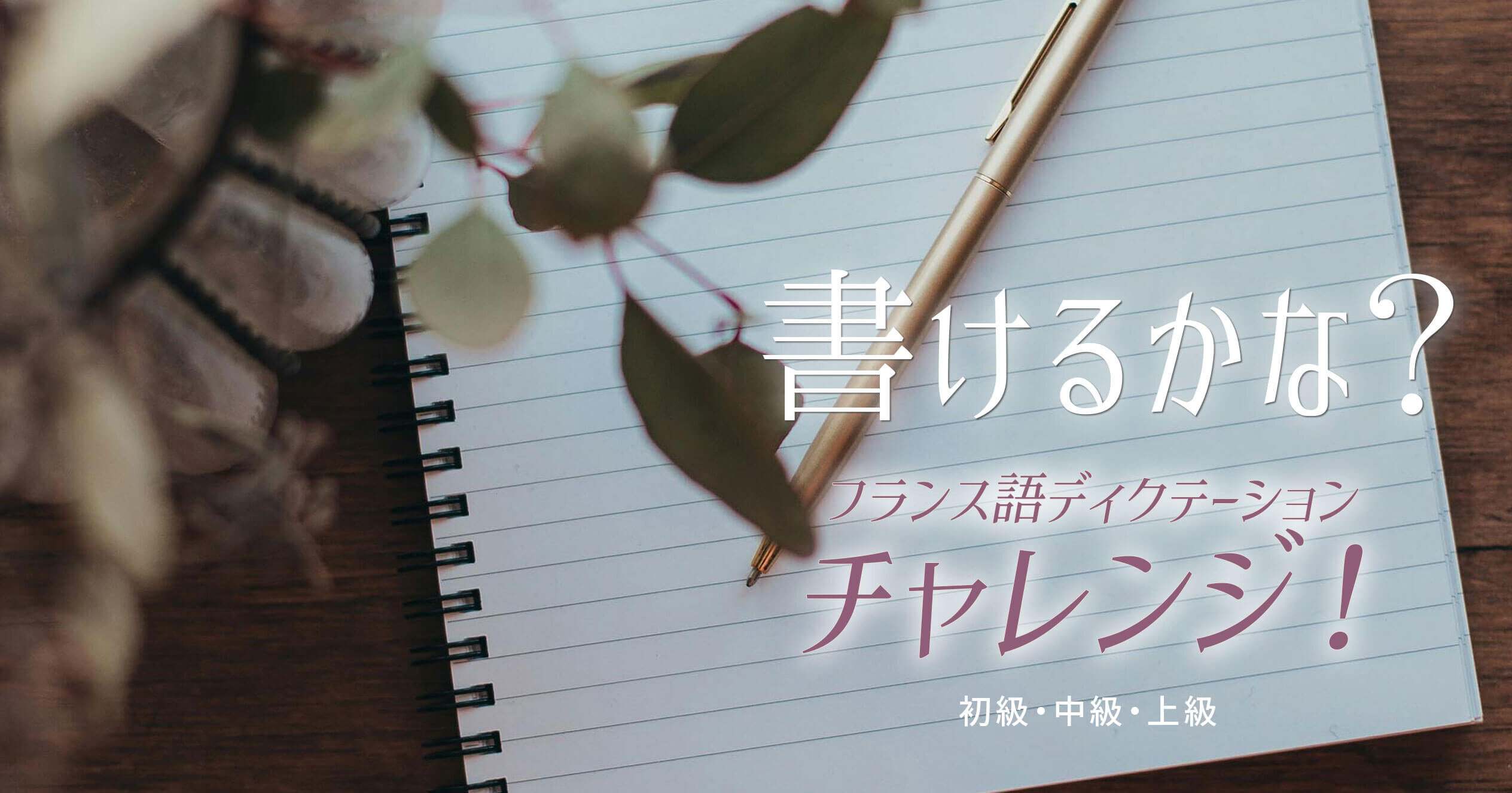 書けるかな？フランス語ディクテーションチャレンジ！ - 初級・中級・上級 -